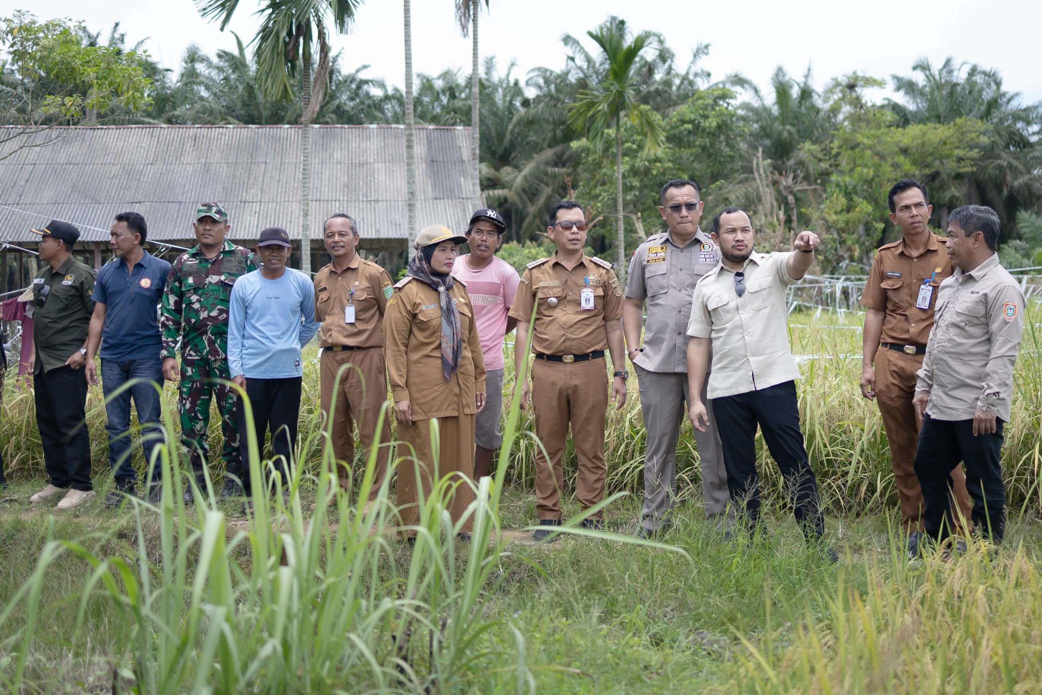 Gapoktan Masyarakat Bersatu Sukses Panen Raya 251 Hektar Padi, Teguhkan Tanah Bumbu sebagai Lumbung Pangan Kalsel